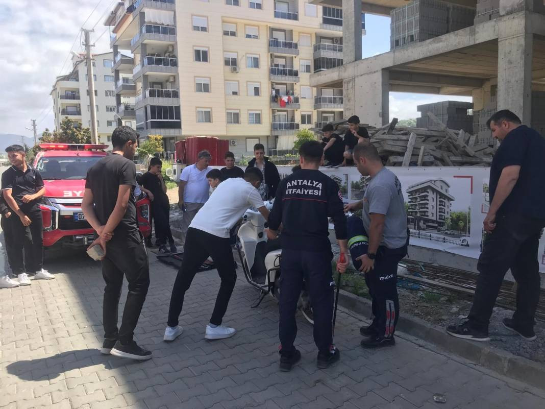 Yılanları mıknatıs gibi çeken 4 nokta belli oldu! Evinde olanlar dikkat - Resim: 14